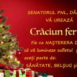 FELICITARE CRĂCIUN SENATOR PNL, DĂNUȚ BICA