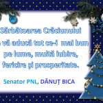 Felicitare CRĂCIUN – senator PNL Argeș, Dănuț BICA